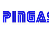 P.I.N.G.A.S