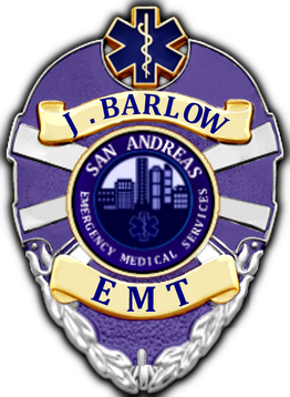 BarlowSAEMS.png