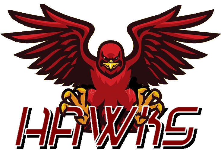 Hawks | TheFamilyRP Wiki | Fandom