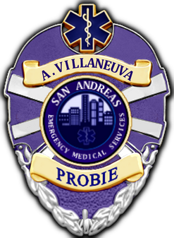 VillaneuvaSAEMS.png