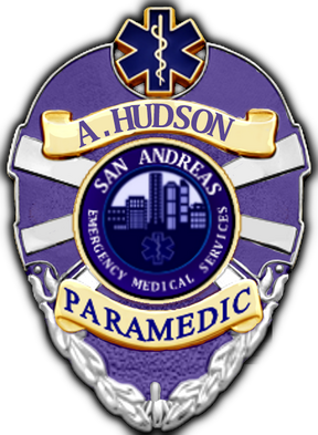 HudsonSAEMS