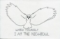 Night owl.jpg