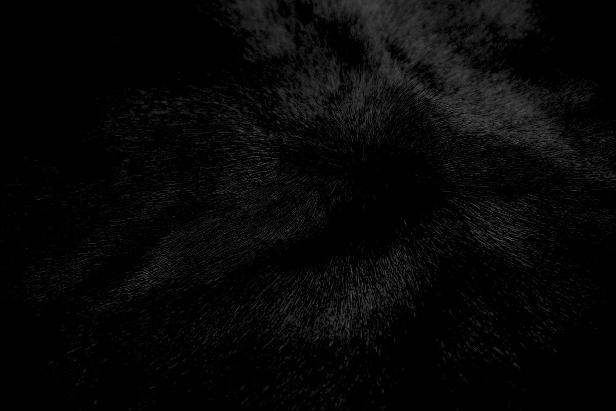 The Void The Fear Mythos Wiki Fandom