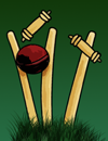Cricket