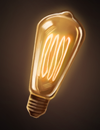 A filament-bulb.