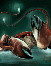 Crab