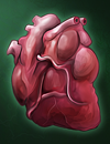 A realistic heart.