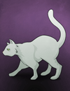 A white Cat.