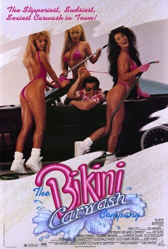 Bikini-carwash-company