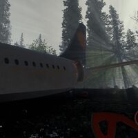 Avion Wiki The Forest Fandom