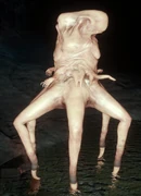 Spinnen Mutant Offizielles Deutsches The Forest Wiki