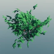 Twinberry Bush