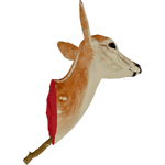 HeadTrophyFarket.png