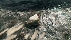 Shark Official The Forest Wiki