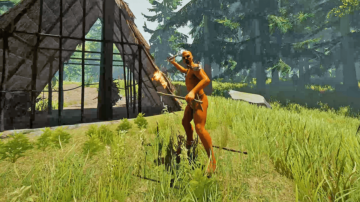 Dynamite in the forest clearance