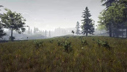 the forest wiki fandom