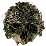 MPForestIcon.png
