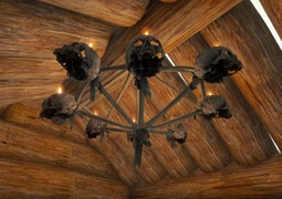 Bone Chandelier