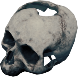 SkullFarket