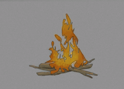 Basic Fire as it appears in the Survival Guide