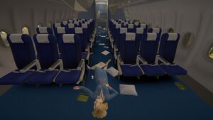 Plane view from inside