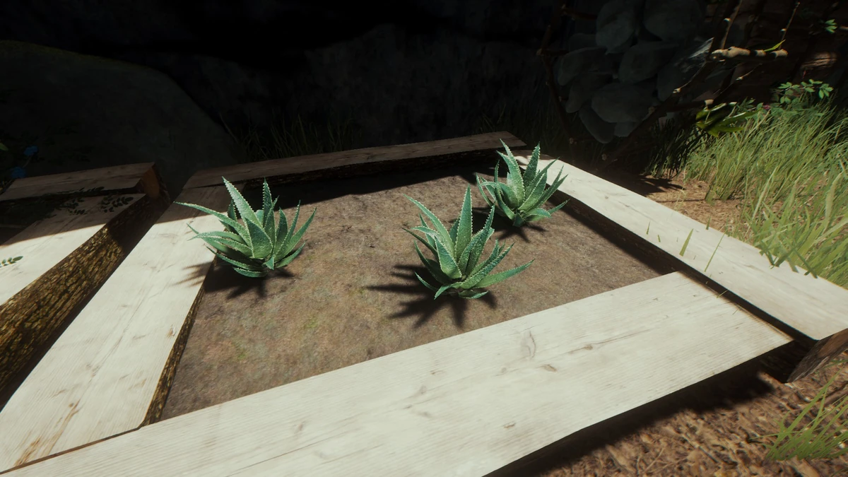 Aloe Vera - Official The Forest Wiki