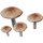 IconDeerMushroom