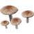 IconDeerMushroom
