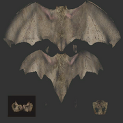 Bat textures