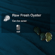 Oysters in inventory