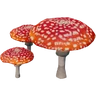 AmanitaMushroomFarket