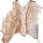 IconDeerSkin.png