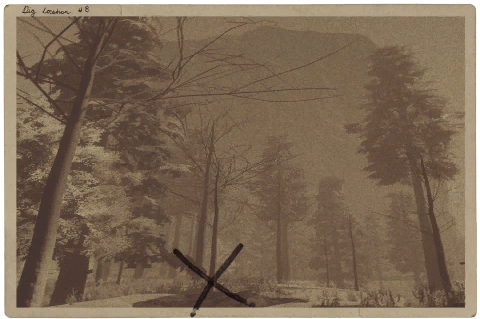 the forest gun parts not spawning the forest gun parts not spawning