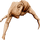 IconHeadArmsy
