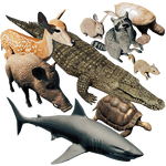 MPIconAnimal.png