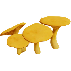 JackMushroomFarket