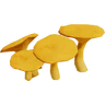 JackMushroomFarket