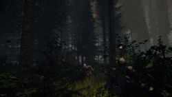 Peninsula - Official The Forest Wiki