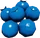 BlueberryFarket