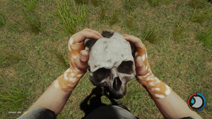 Skull being held