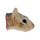 IconHeadSquirrel