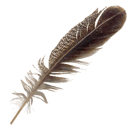 Feather Official The Forest Wiki