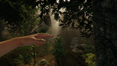 The Forest PS4 Release Date Announced by Endnight Games