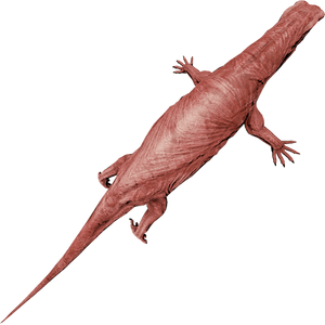 MeatLizardFarket.png