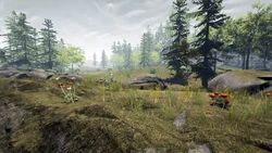 the forest wiki fandom