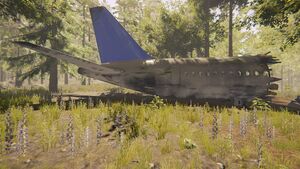 View of the plane from the side