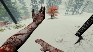 Player bloodied in the snow