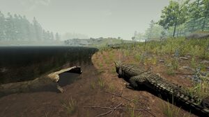 A crocodile at the land bridge