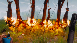 Using leaf pile traps underneath noose traps to get payback