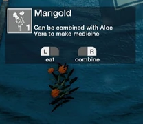 Marigold as seen in the players inventory.